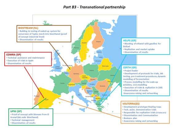 transnational partnership
