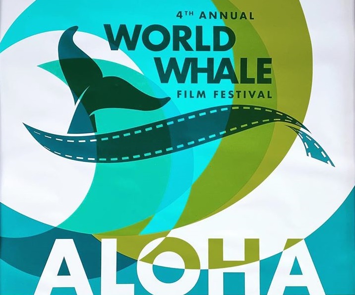 maui whale film festival2