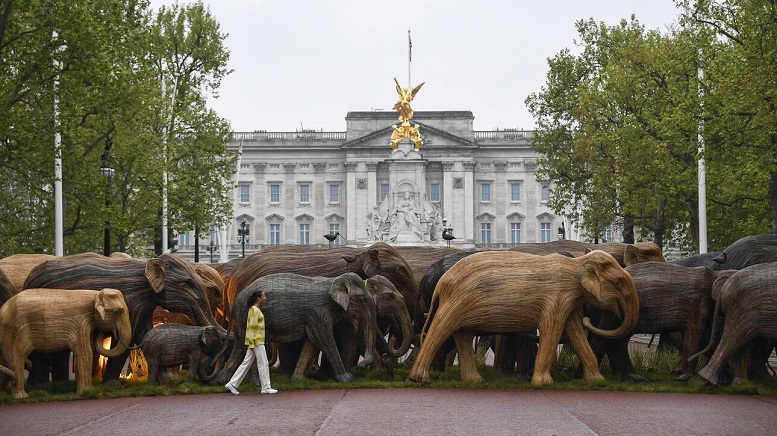 elephants in london